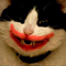 thomasbkat